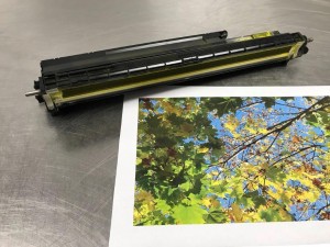 Deweloper UNIT RICOH MPC3002 MPC3502 MPC4502 MPC5502 YELLOW D1443008