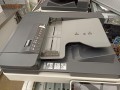 IMG_20220515_112937.jpg