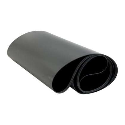 M2559.wh.jpg