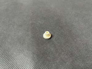 Koło WEB IDLE GEAR Ricoh 1060 1075 2051 2060 2075 B0654235