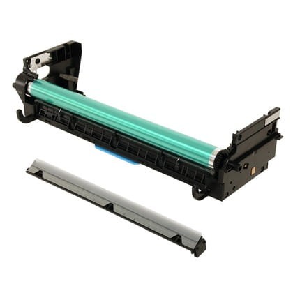 P3890.wh.jpg