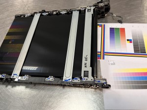 TRANSFER BELT RICOH MPC2030 MPC2050 MPC2051 MPC2530 MPC2550 MPC2551 D0396003