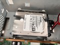 IMG_2445.jpeg