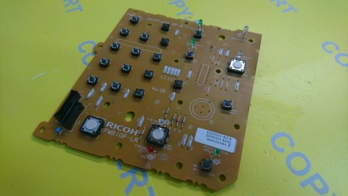 D0091469 (1).JPG
