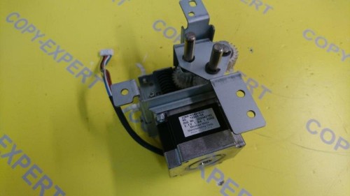 D0294375 (2).JPG