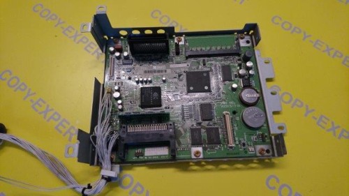 A2915171 (1).JPG